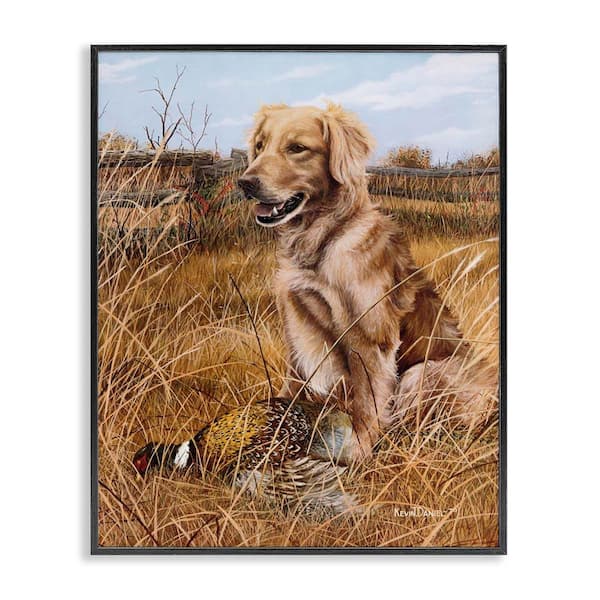 Stupell Industries Hunting Dog & Pheasant by Kevin Daniel Black Framed Animal Giclee Art Print 30 in. x 24 in.