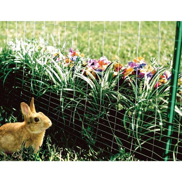 Yardgard 2 3 Ft X 50 Ft Rabbit Guard Garden Fence Welded Wire 308371b The Home Depot Yardgard 2 3 Ft X 50 Ft Rabbit Guard Garden Fence Welded Wire 308371b The Home Depot