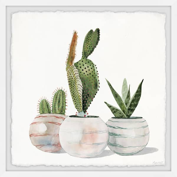 Unbranded "Cactus Planters" by Parvez Taj Framed Nature Art Print 12 in. x 12 in.