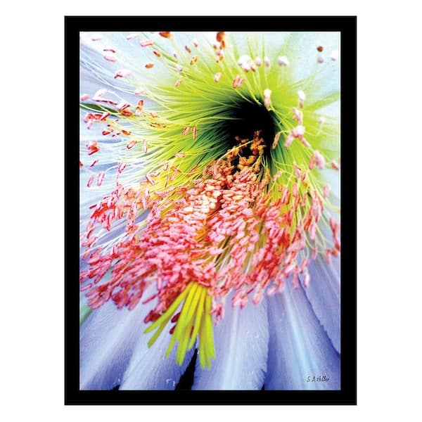 VENICE BEACH Collections Heller Photography into the Bloom Framed Printed Photograph by Steven A. Heller Nature Poster Art Print 18 in. x 14 in.