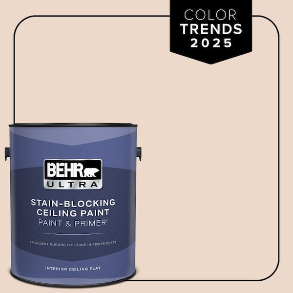 1 gal. #S210-1 Nutmeg Frost Ceiling Flat Interior Paint and Primer