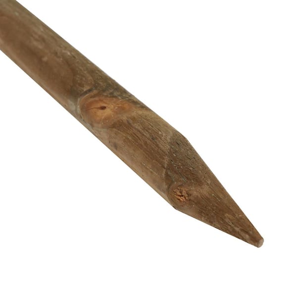 ProWood 96 in. Fir Wood Pressure-Treated Round Tree Stake