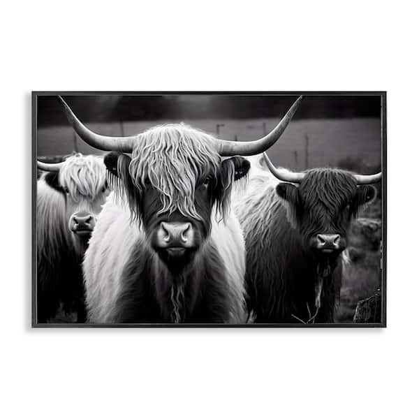 Stupell Industries Black & White Highland Cows by Franklyn Gregory Black Framed Animal Giclee Art Print 12 in. x 18 in.