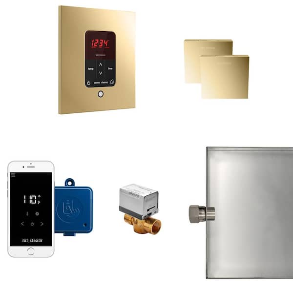 Mr. Steam Butler Max Package Square in Polished Brass