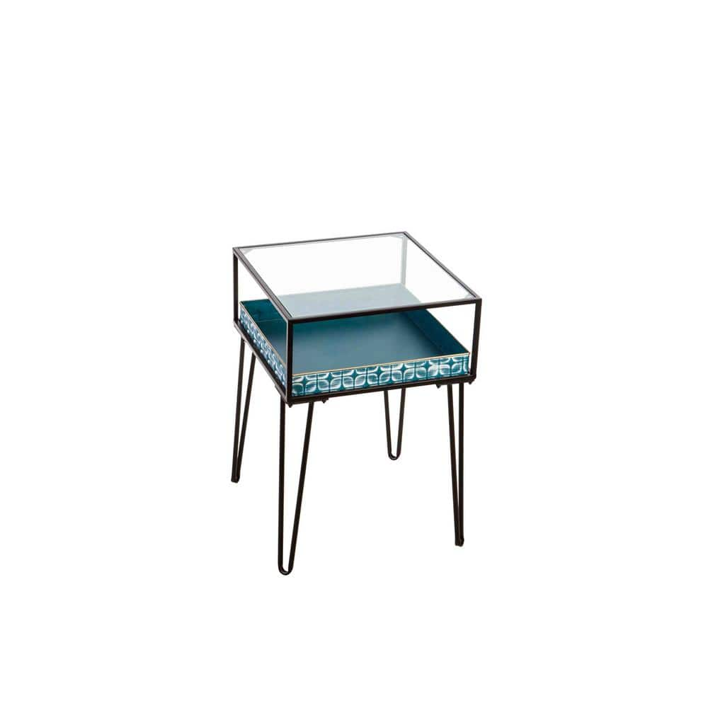 Square Terrarium Display End Table with Reinforced Glass in Black Iron- 18