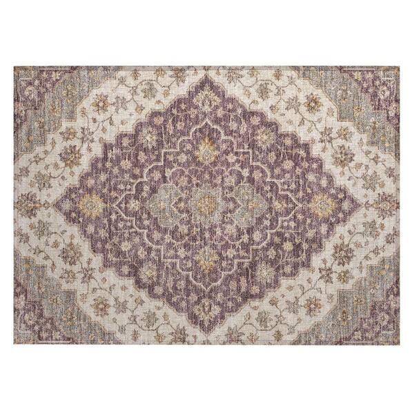 Chantille Machine Washable Indoor/Outdoor Abstract ACN3134 Plum 2 ft. x 3 ft. Accent Rug