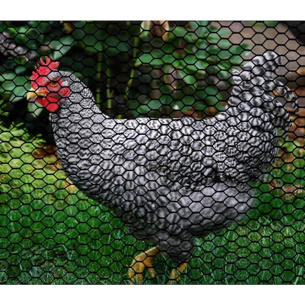 BOEN 4 ft. x 100 ft. Plastic Poultry Hex Garden Fence Netting in Black  PF-40011 - The Home Depot