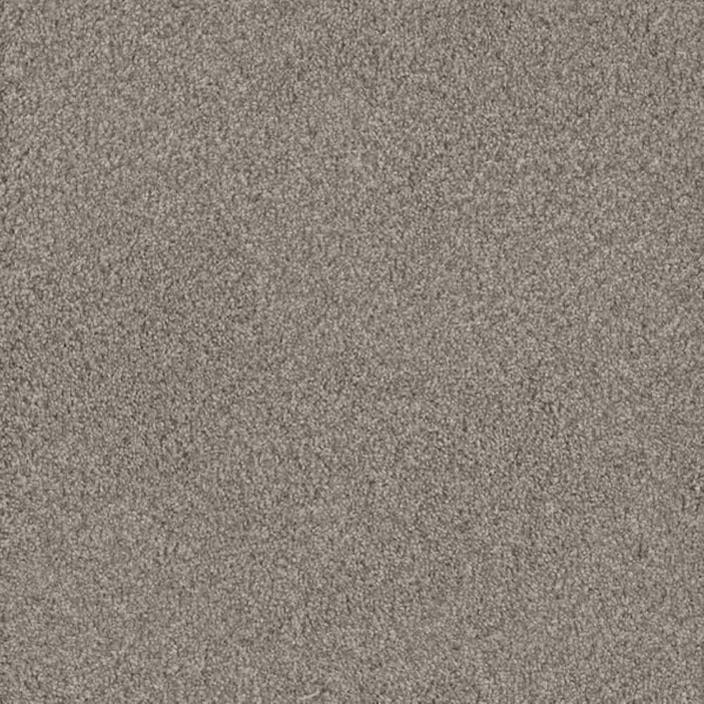 8 in. x 8 in. Texture Carpet Sample-Meringue I-Color Dollop price history on PriceWatchPro