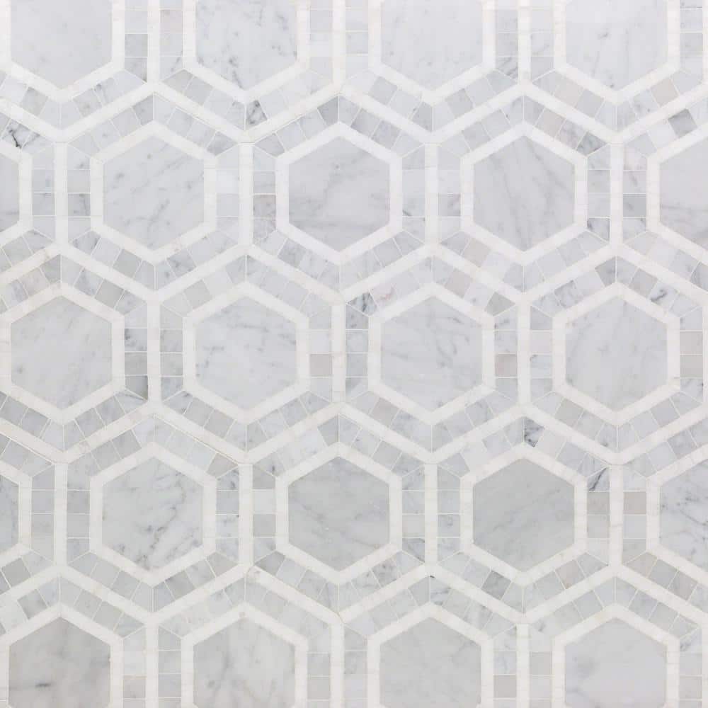 Carrara White and Black Marble Hexagon Mosaic Tile