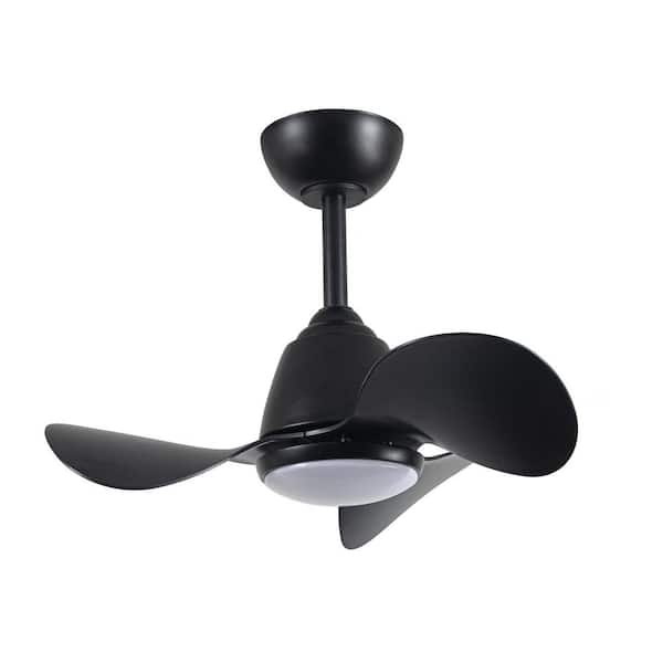 Warehouse of Tiffany Cian 24 in. 1-Light Indoor Black Finish Ceiling Fan with Light Kit