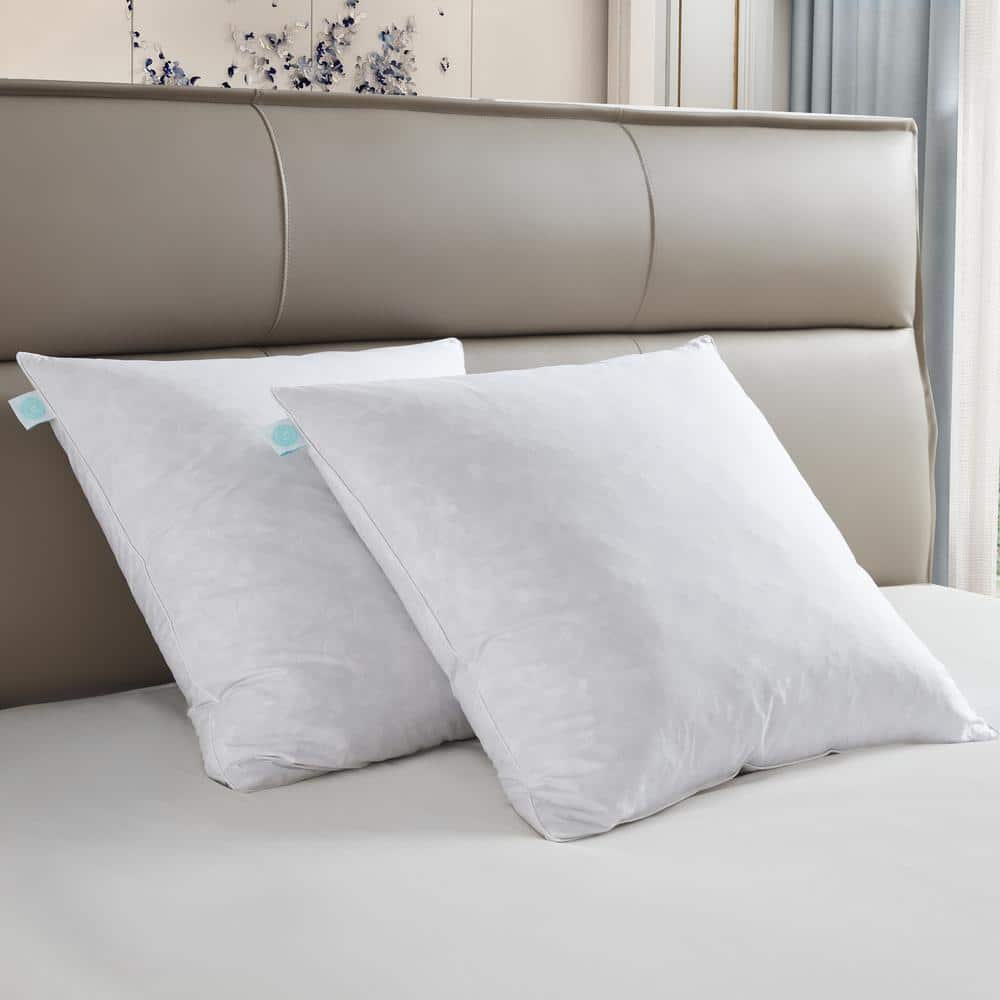 Allied Home Overfilled White Big and Lofty Euro Pillow (Set of 2
