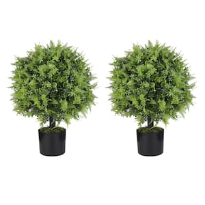 22 in. Artificial Boxwood Topiary Ball Tree in Pot (2-Pack)