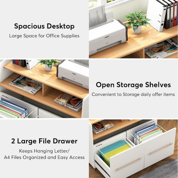 BYBLIGHT Atencio White 2-Drawer Mobile File Cabinet with Storage Shelves and Locking Casters for Home Office