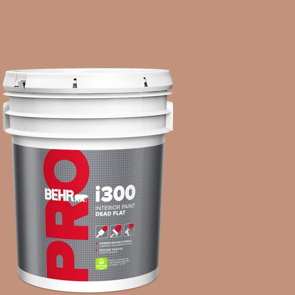 5 gal. #ICC-101 Florentine Clay Dead Flat Interior Paint price history on PriceWatchPro