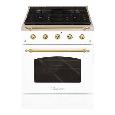 Heavy Duty Stove - 4 Burners - Double Unit - 70cm Deep - with Oven -  Electric - Maxima