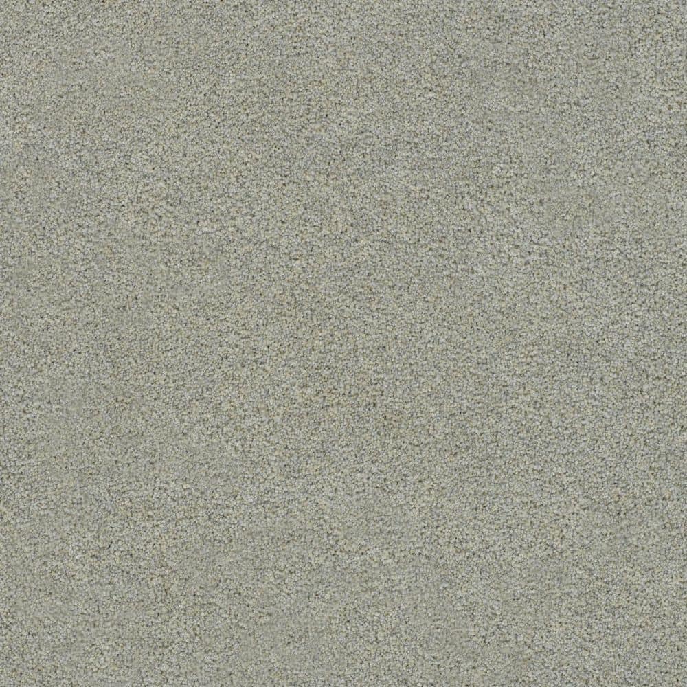 8 in. x 8 in. Texture Carpet Sample-Cinderella Soft I-Color Allure price history on PriceWatchPro