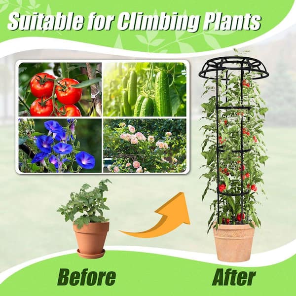 Garden Trellis for Climbing Plants Outdoor, 65 in. Mushroom Top