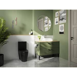 Ace 1-Piece 1.1/1.6 GPF Dual Flush Elongated Toilet in Black, Seat Included