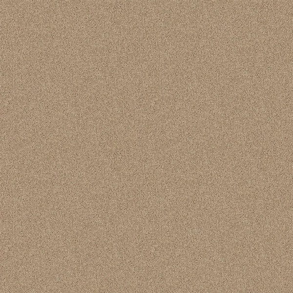 TrafficMaster Watercolors I - Raw Linen - Beige 28.8 oz. Polyester Texture Installed Carpet