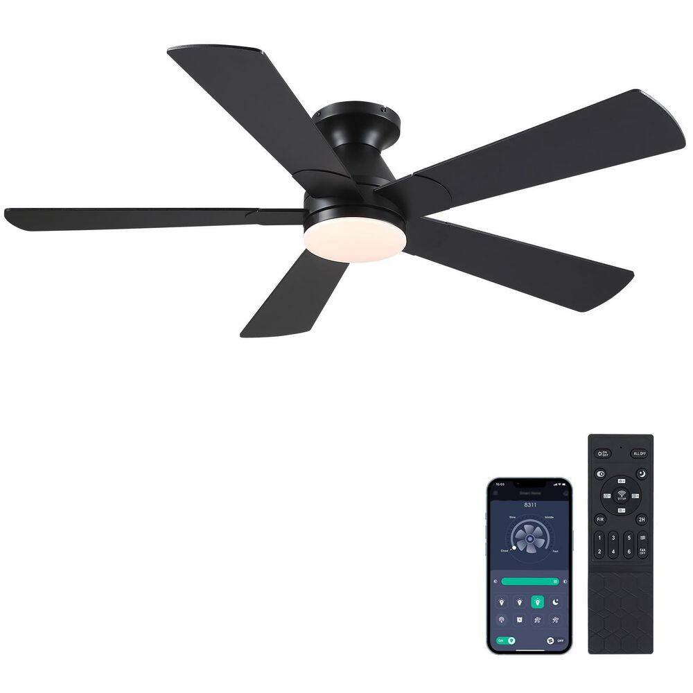 41 in. Indoor/Outdoor Modern Black Ceiling Fan with Dimmable 3 Color LED Light and Remote/APP Control price history on PriceWatchPro