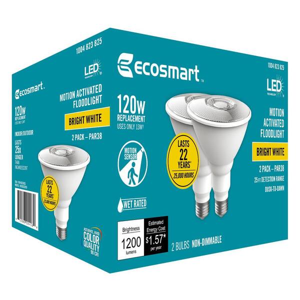 ecosmart motion activated flood light