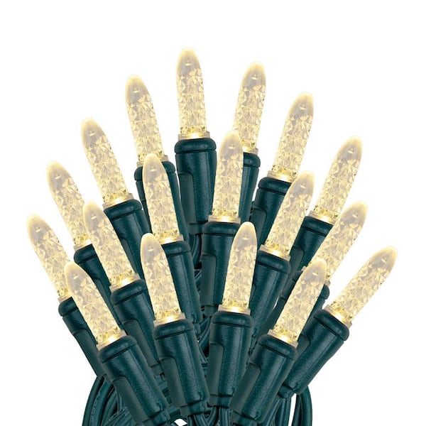 M5 50 Light 25 ft. Warm White Indoor/Outdoor Integrated LED Globe String Light