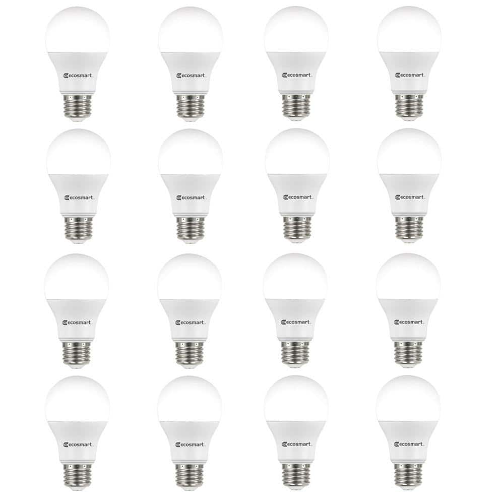 60-Watt Equivalent A19 Non-Dimmable LED Light Bulb Soft White (16-Pack)