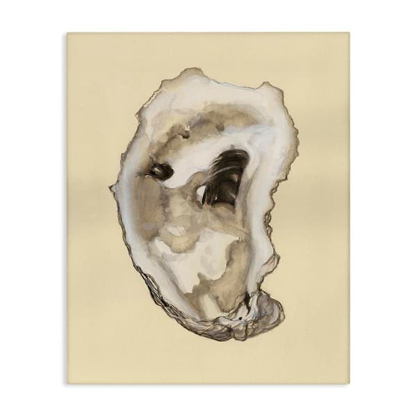 Stupell Industries Natural Oyster Shell by Michael Willett Unframed Coastal Graphic Art Print 48 in. x 36 in.