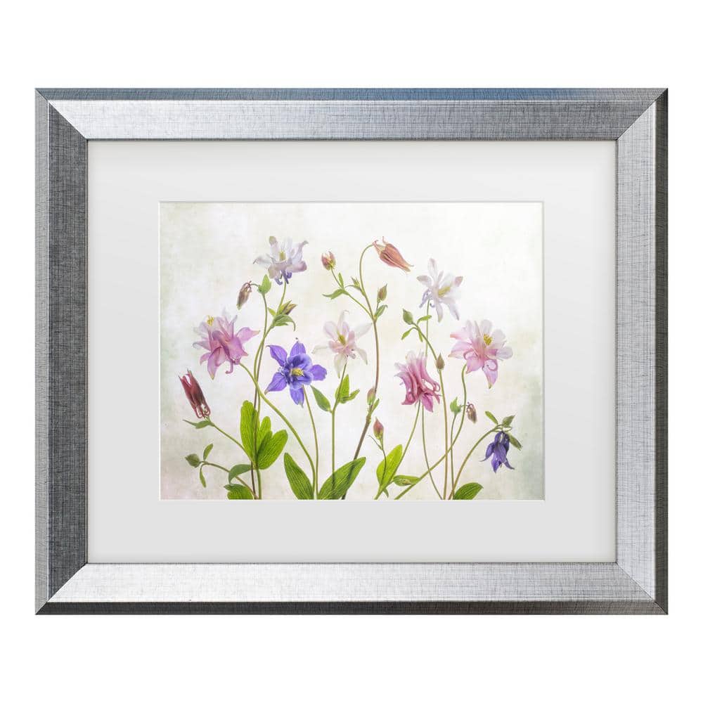 Mandy Disher Columbine Matted Framed Photography Wall Art 14.5 in. x 17.5 in. price history on PriceWatchPro