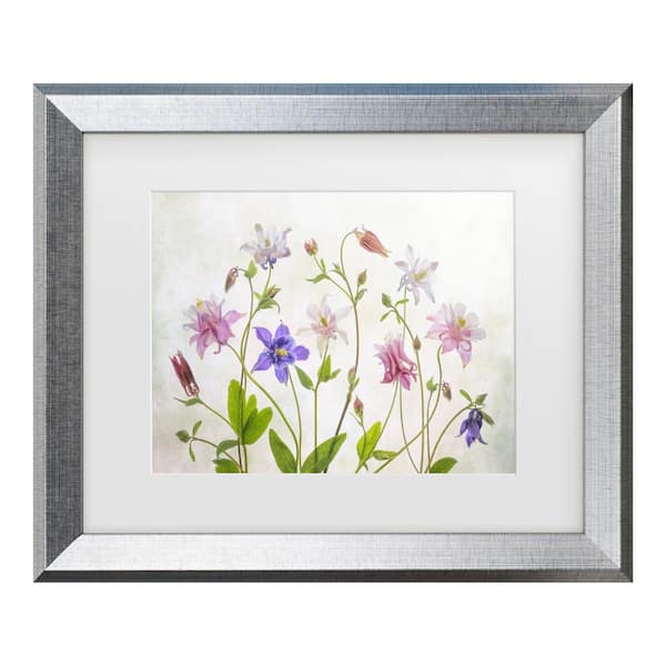 Trademark Fine Art Mandy Disher Columbine Matted Framed Photography Wall Art 19.5 in. x 23.5 in.