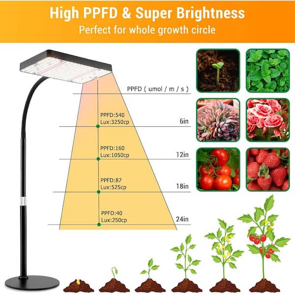 lighted plant terrarium Cylindrical Micro Landscape Terrarium with LED Grow Light main image 1