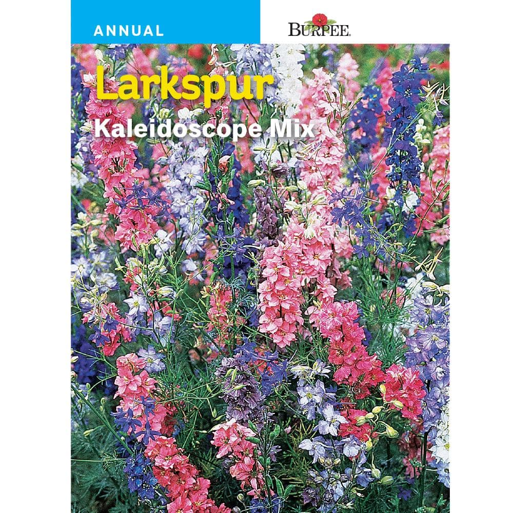 dans tro på hestekræfter Burpee Larkspur Kaleidoscope Mix Seed 33024 - The Home Depot