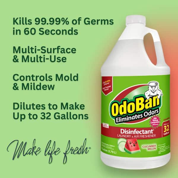 1 Gal. Cucumber Melon Disinfectant, Laundry and Air Freshener, Mold & Mildew Control, Multi-Purpose Concentrate (2-Pack)