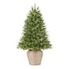 Home Accents Holiday 4 ft Fraser Fir Incandescent Pre-Lit Artificial ...