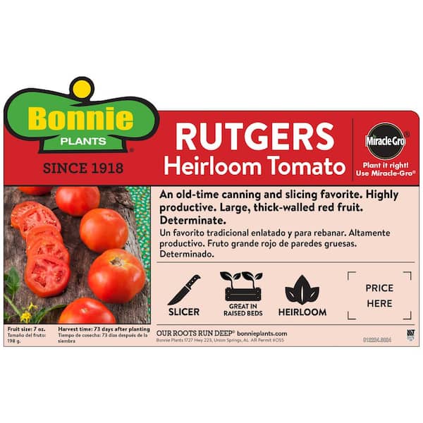 1.19 qt. Rutgers Tomato Plant (6-Pack)