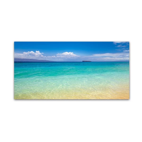 Trademark Fine Art Hidden Frame Landscape Art Blue Beach Maui by Pierre Leclerc 10 in. x 19 in.