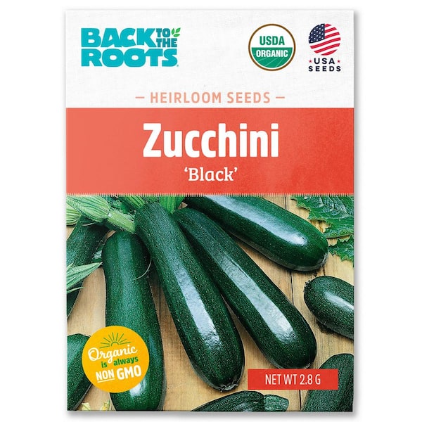 Organic Summer Black Zucchini Squash Seed