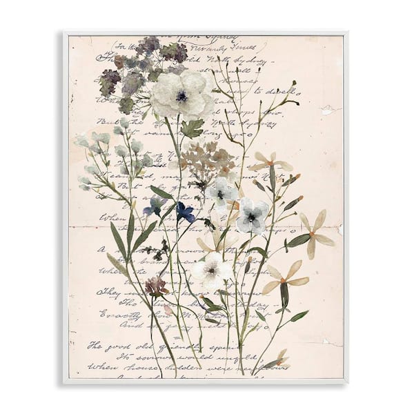 Stupell Industries Vintage Pressed Flowers by Carol Robinson White Framed Nature Giclee Art Print 14 in. x 11 in.