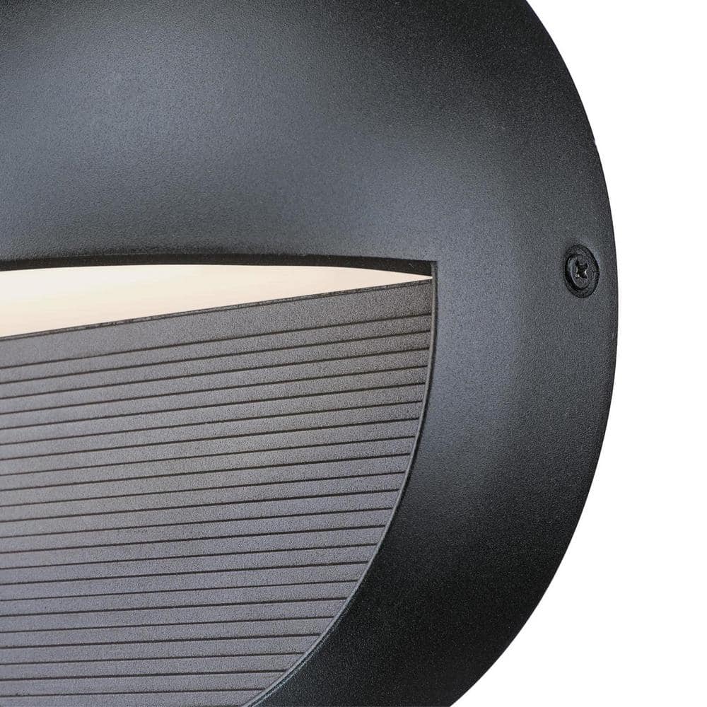 Winslett Textured Black LED Wall Fixture with Frosted Glass