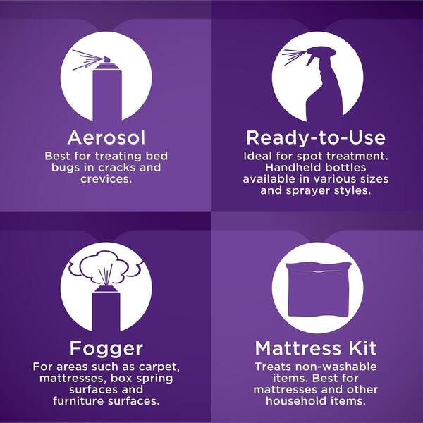 best bed bug and flea killer