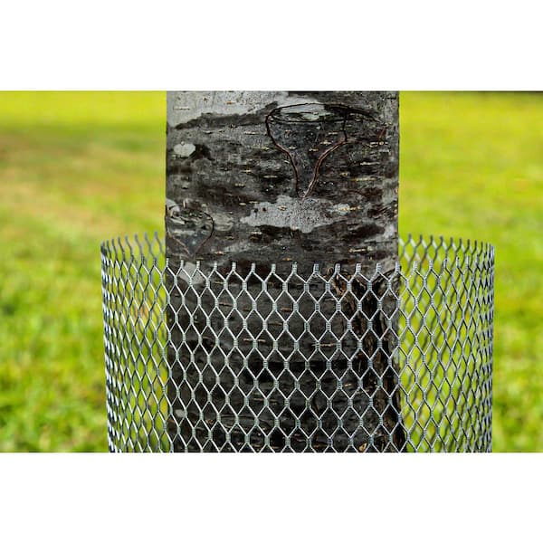 varho421 Spectra Pro Select 4 ft. x 25 ft. 1/2 in. 24-Gauge