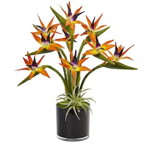 Indoor Bird of Paradise Silk Artificial Arrangement in Black Glossy Cylinder