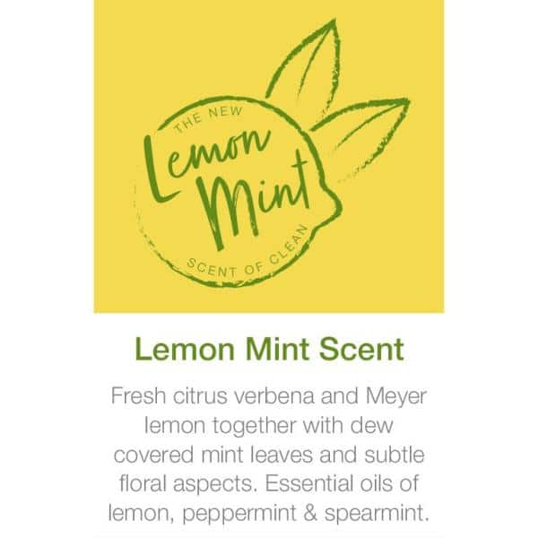 Bona 36 Oz. Lemon Mint Hard Surface Floor Cleaner - Mt. Pleasant Hardware