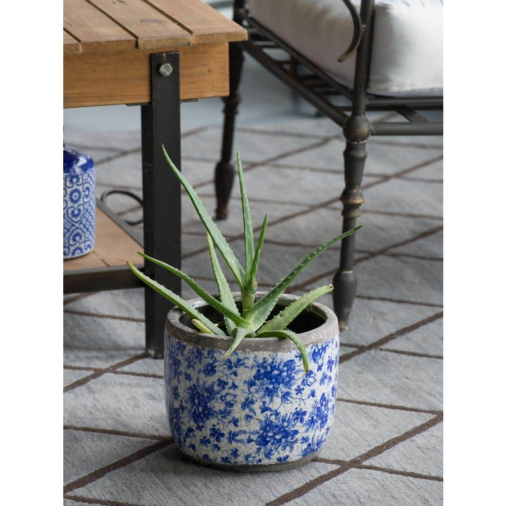 Lilibeth Short Blue and White Terracotta Planter