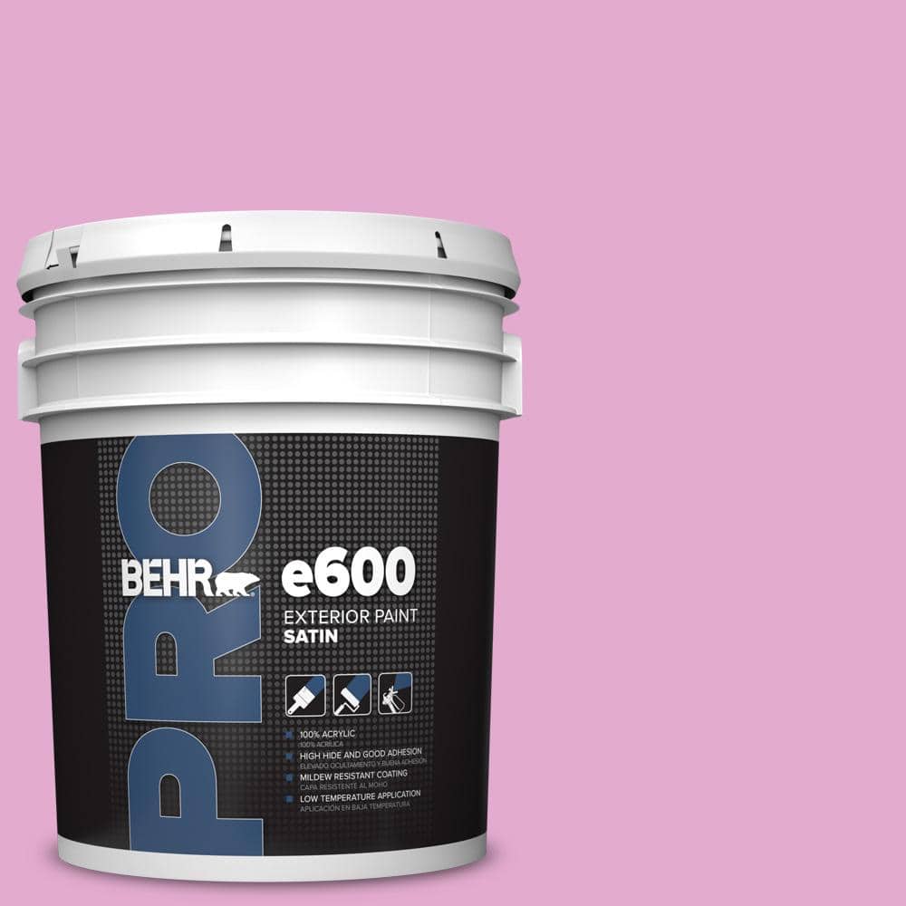 5 gal. #680A-3 Pink Bliss Satin Exterior Paint price history on PriceWatchPro
