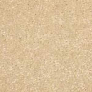Sycamore II - Acacia - Beige 58 oz. SD Polyester Texture Installed Carpet