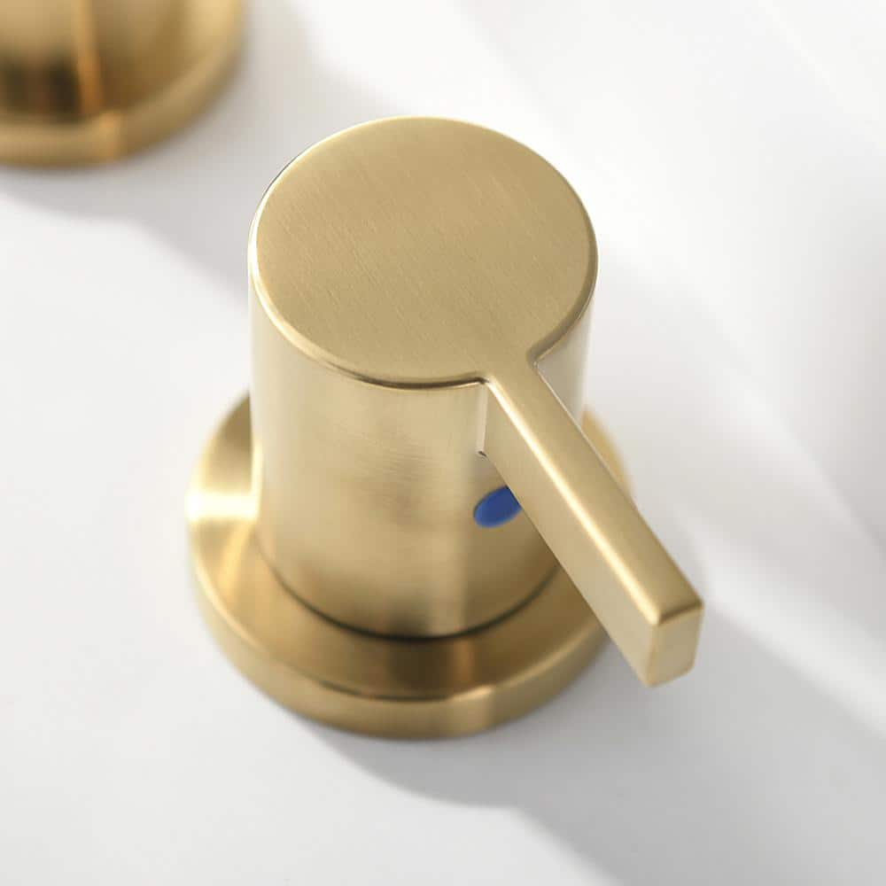 Widespread 2-handle Bathroom Faucet with Drain Assembly