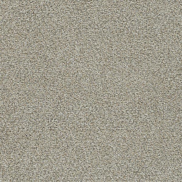 Daylight-Dawn Beige-60 Oz. SD Polyester Texture Installed Carpet