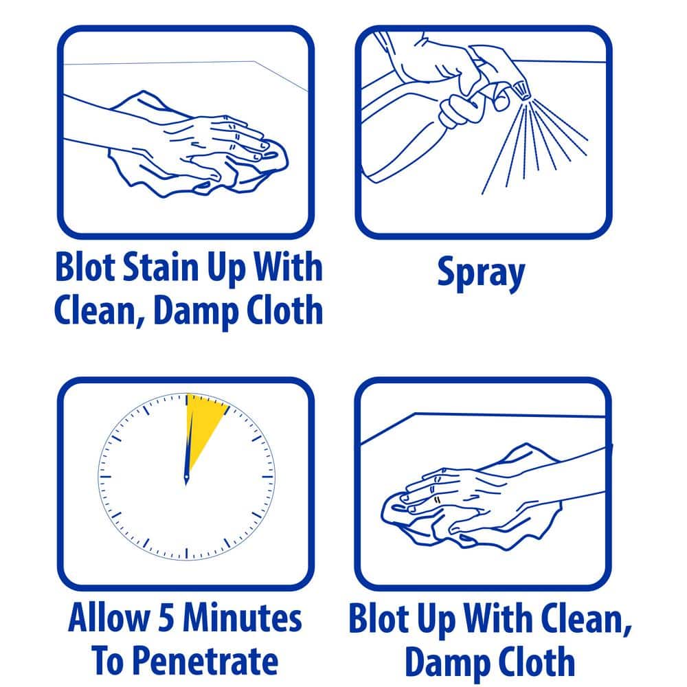 Zep 32 oz Clear Pet Stain and Odor Remover Spray