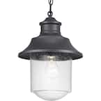 Lakelynn 1-Light Textured Black Outdoor Pendant Light with Clear Seeded Glass